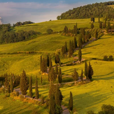Rolling green hills with cypress-lined winding road under a blue sky, capturing the peaceful essence of Tuscany.